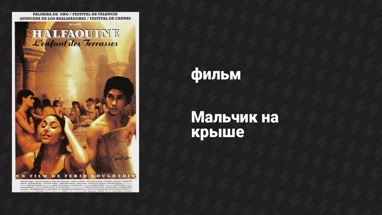 Мальчик на крыше (фильм, 1990)